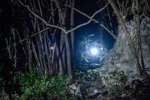 BIB: 
                            <button type="button" onclick="openModal(19436613)" class="btn btn-primary btn-sm float-right btn-popup" data-toggle="modal" data-target=".modal-high-quality">
                        <i class="fas fa-shopping-cart"></i> Add to Cart
                    </button>
                                            <button type="button" onclick="isThisMe(19436613, true)" class="btn btn-success btn-sm float-right btn-popup btn-isme hidden" data-toggle="tooltip" data-placement="bottom" title="นี่คือรูปของคุณใช่ไหม คลิกที่นี่เพื่อเอาเข้าอัลบั้ม">
                        <i class="fas fa-plus"></i> Add to album
                    </button>
                    <button type="button" onclick="isThisMe(19436613, false)" class="btn btn-warning btn-sm float-right btn-popup btn-isnotme hidden">
                        <i class="fas fa-ban"></i> Remove from album
                    </button>